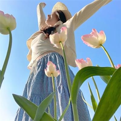 蒙哥一家的故事
